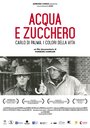 Acqua e zucchero: Carlo Di Palma, i colori della vita (2016) трейлер фильма в хорошем качестве 1080p