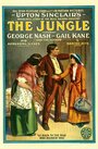 Джунгли (1914) скачать бесплатно в хорошем качестве без регистрации и смс 1080p