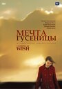 Мечта гусеницы (2006) кадры фильма смотреть онлайн в хорошем качестве