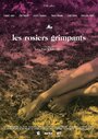 Les rosiers grimpants (2016) скачать бесплатно в хорошем качестве без регистрации и смс 1080p