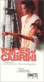 Voices of Cabrini: Remaking Chicago's Public Housing (1999)