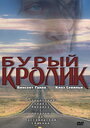 Бурый кролик (2003) кадры фильма смотреть онлайн в хорошем качестве