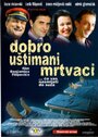 Хорошо выглядящие трупы (2005) скачать бесплатно в хорошем качестве без регистрации и смс 1080p