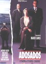 Пригород (1996) кадры фильма смотреть онлайн в хорошем качестве