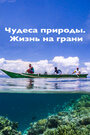 Смотреть «Чудеса природы. Жизнь на грани» онлайн фильм в хорошем качестве