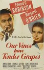 У нас растет нежный виноград (1945) скачать бесплатно в хорошем качестве без регистрации и смс 1080p