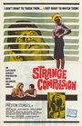 Strange Compulsion (1964) скачать бесплатно в хорошем качестве без регистрации и смс 1080p