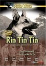 The Return of Rin Tin Tin (1947) трейлер фильма в хорошем качестве 1080p