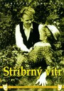 Серебряный ветер (1954) скачать бесплатно в хорошем качестве без регистрации и смс 1080p