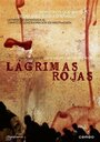 Risos e Lágrimas (1926) скачать бесплатно в хорошем качестве без регистрации и смс 1080p