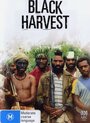 Black Harvest (1992) кадры фильма смотреть онлайн в хорошем качестве