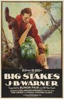 Big Stakes (1922) трейлер фильма в хорошем качестве 1080p