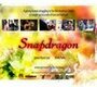 Snapdragon (2005) трейлер фильма в хорошем качестве 1080p