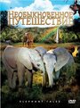 Необыкновенное путешествие: История про двух слонят (2006) кадры фильма смотреть онлайн в хорошем качестве