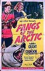 Fangs of the Arctic (1953) трейлер фильма в хорошем качестве 1080p