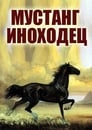 Смотреть «Мустанг-иноходец» онлайн фильм в хорошем качестве