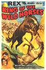 The King of Wild Horses (1924) скачать бесплатно в хорошем качестве без регистрации и смс 1080p