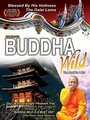 Buddha Wild: Monk in a Hut (2006)