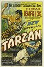 Новые приключения Тарзана (1935) трейлер фильма в хорошем качестве 1080p