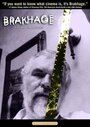 Brakhage (1998) кадры фильма смотреть онлайн в хорошем качестве