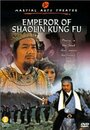 Chuang wang li zi cheng (1980) трейлер фильма в хорошем качестве 1080p