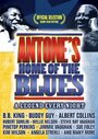 Смотреть «Antone's: Home of the Blues» онлайн фильм в хорошем качестве