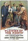 The Flower of the North (1921) скачать бесплатно в хорошем качестве без регистрации и смс 1080p