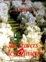 Сквозь оливы (1994) скачать бесплатно в хорошем качестве без регистрации и смс 1080p