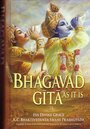 Bhagwat Geeta (1993)