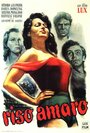 Горький рис (1949) кадры фильма смотреть онлайн в хорошем качестве