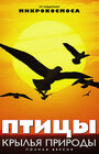 Птицы: Крылья природы (2002) кадры фильма смотреть онлайн в хорошем качестве