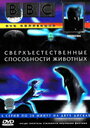 BBC: Сверхъестественные способности животных (1999) кадры фильма смотреть онлайн в хорошем качестве