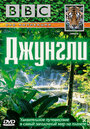 BBC: Джунгли (2003) кадры фильма смотреть онлайн в хорошем качестве