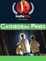 Cathedral Pines (2006) скачать бесплатно в хорошем качестве без регистрации и смс 1080p