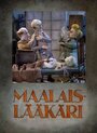 Maalaislääkäri (1995)