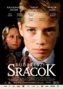 Будапештские пацаны (2006) скачать бесплатно в хорошем качестве без регистрации и смс 1080p