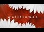 Смотреть «Wallflower» онлайн фильм в хорошем качестве