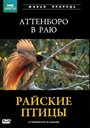 BBC: Райские птицы (1996) скачать бесплатно в хорошем качестве без регистрации и смс 1080p