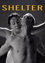 Shelter (2003)