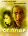 Kambal: The Twins of Prophecy (2006) скачать бесплатно в хорошем качестве без регистрации и смс 1080p