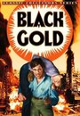 Black Gold (1936) скачать бесплатно в хорошем качестве без регистрации и смс 1080p