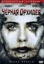 Черная орхидея (2006) скачать бесплатно в хорошем качестве без регистрации и смс 1080p