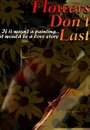 Flowers Don't Last (2006) кадры фильма смотреть онлайн в хорошем качестве