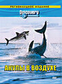 Discovery: Акулы в воздухе (2002) кадры фильма смотреть онлайн в хорошем качестве