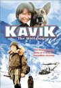 Мужество Кэвика, собака-волк (1980) скачать бесплатно в хорошем качестве без регистрации и смс 1080p