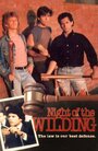 Night of the Wilding (1990) скачать бесплатно в хорошем качестве без регистрации и смс 1080p