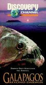 Galapagos: Beyond Darwin (1996) скачать бесплатно в хорошем качестве без регистрации и смс 1080p