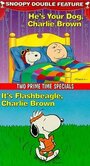 It's Flashbeagle, Charlie Brown (1984) скачать бесплатно в хорошем качестве без регистрации и смс 1080p