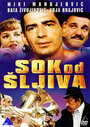 Sok od sljiva (1981) кадры фильма смотреть онлайн в хорошем качестве