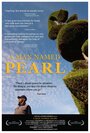 A Man Named Pearl (2006) скачать бесплатно в хорошем качестве без регистрации и смс 1080p